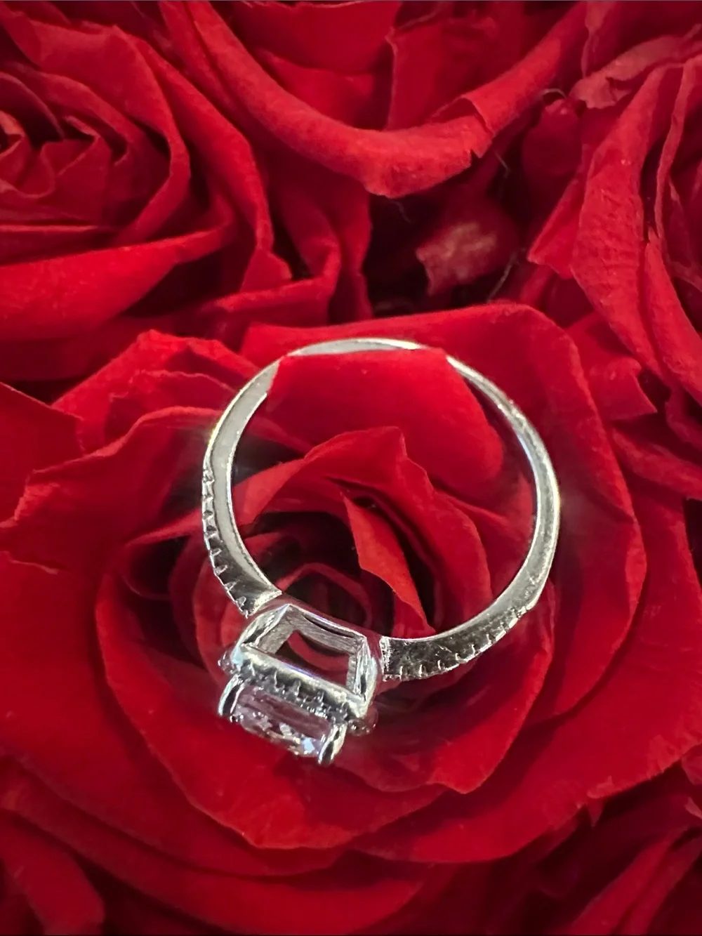 925 Silver Cushion Halo Solitaire Ring